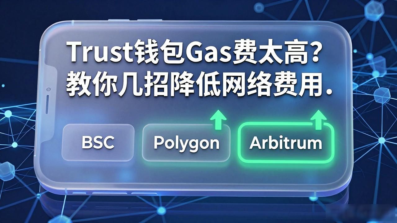 Trust钱包网络切换节省Gas费_Trust钱包链上交易省钱方法_如何优化Trust钱包使用过程中的网络费用？